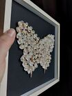  3D butterfly made of shells and beads.Shell art. Wall art. Butterfly in a frame