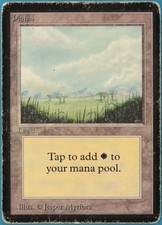 Plains (B Little Trees) Beta VERY HEAVILY PLD Basic Land CARD (248358) ABUGames