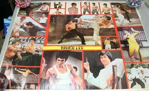 Vintage 1974 Bruce Lee/KUNG FU  POSTER 23" x 29" Sai M. Chiang Enterprises - Picture 1 of 8