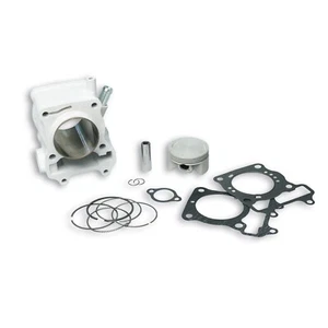 GRUPPO TERMICO MALOSSI 3112044 PER APRILIA SR DITECH-FACTORY - Imagen 1 de 1
