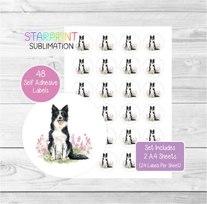 Border Collie Aufkleber/Etiketten für Umschlagsiegel/Partytüten/Geschenke/Etiketten - Bild 1 von 1