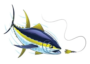 YELLOWFIN TUNA FISH SALTWATER FISHING CAR Truck Boat Window BUMPER STICKER DECAL - Picture 1 of 1