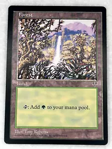 X4 Forest (Waterfall) - Mirage - MTG NM NP Land MIR 348 4X - Picture 1 of 2