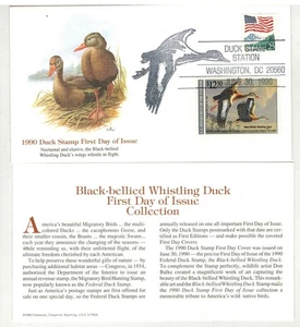 HIGH VALUE $12.50 DUCK STAMP 1990 RW57 BLACK BELLIED WHISTLING DUCK & TEXT CARD - Picture 1 of 1