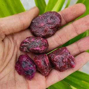 Natural 562 Ct With Certificate African Ruby Rough Gemstone 5 Pcs Lot - Picture 1 of 4