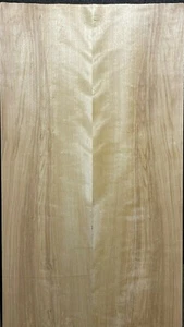 FLAMED, CURLY, SPALTED YELLOW BIRCH DROP TOP, ECO-FRIENDLY TONEWOOD - Picture 1 of 6