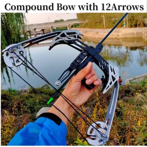 30lbs Compound Archery Bow and 12 Arrows Outdoor Competition Sporting Goods AU - Picture 1 of 12