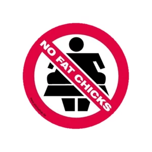 No fat chicks Keine dicken Weiber Aufkleber Sticker Auto Magnet Vinyl wetterfest - Picture 1 of 1