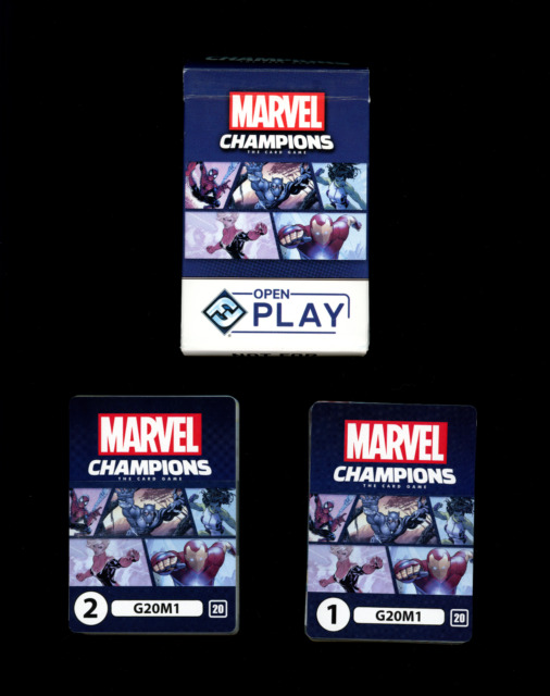 Marvel Champions LCG: Valkyrie Hero Pack (Expansion) - Labyrinth Games &  Puzzles