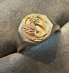 Anillo de sello vintage de plata esterlina con hoja de uva de oro Black Hills de 10 quilates para hombre - Imagen 1 de 4