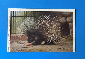 Van Houten's Cocoa Best and Goes Farthest Porcupine Advertising Trade Card - Picture 1 of 2