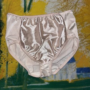 Vintage Vanity Fair Second Skin Pillow Tag Panties. Medium  - Picture 1 of 11