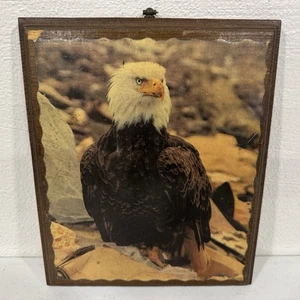 Vintage Bald Eagle Rustic Wood Plaque Wall Hanging Art Decor - Picture 1 of 5