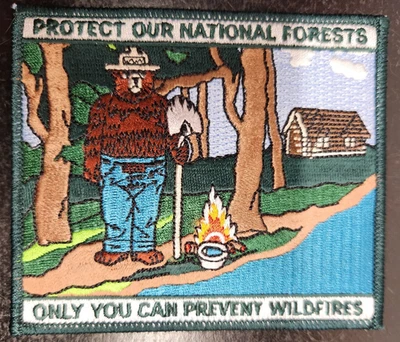 Vintage Smokey the Bear Only You Can Prevent Wildfires Sew-On Patch - Image 1 of 3