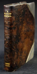 SHEFFIELD ENGLAND FLACHMANN VERSILBERT VERGOLDET DIXON MARKE BUCHATTRAPPE 19.JH. - Picture 1 of 23