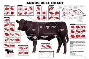 Angus Beef Chart Meat Cuts Diagram Poster 11x17 USA Seller - Picture 1 of 2