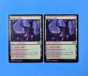 2x Haunted Mire Tarkir Dragonstorm Commander TDC 2025 Mtg Magic Land 369 - Bild 1 von 2