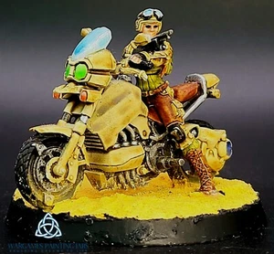 Painted Infinity Ariadna Mavericks 9th Motorized Recon Battalion - Picture 1 of 5