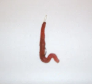 VERME DI TERRA ARTIFICIALE PESCA VINTAGE/ VINTAGE WORM FOR FISHING - Imagen 1 de 1