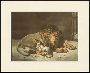 CAVALIER KING CHARLES SPANIEL AND FRIENDLY LION LOVELY DOG PRINT READY TO FRAME - Picture 1 of 1