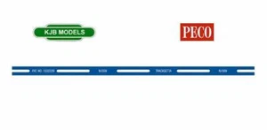 Brandneu in Verpackung N Stärke TRACKSETTA NT10 Vorlage 10" gerade - Spurverlegungswerkzeug - Bild 1 von 2