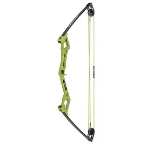 Bear Archery Apprentice Youth Bow Set Includes Arrows, Target, Finger Rollers - Picture 1 of 10