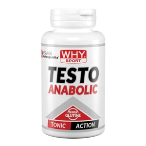TESTO ANABOLIC 90 CPR - Why Sport - Bild 1 von 3