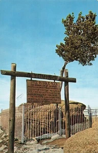 Postkarte Baum in massivem Felsen in der Nähe von Cheyenne Wyoming - Bild 1 von 2
