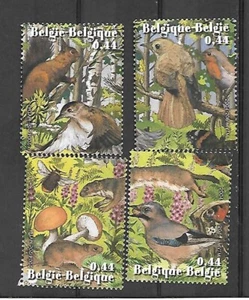tiere im wald - Bild 1 von 1