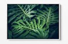 MONSTERA LEAF 6 CANVAS WALL ART FLOAT EFFECT/FRAME/PICTURE/POSTER PRINT- GREEN