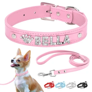 DIY Personalised Leather Collar & Lead Leash Pet Dog Cat Bling Gloss Name Charm - Picture 1 of 22