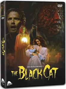 The Black Cat (DVD) Various Luigi Cozzi (Importación USA) - Imagen 1 de 5