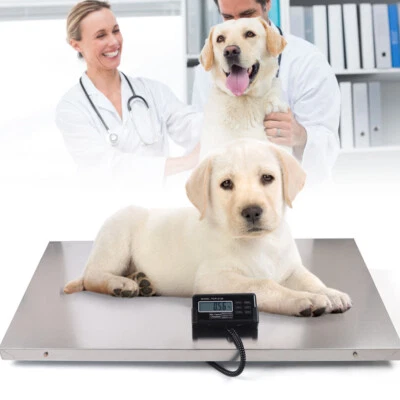 1100 lbs Large Digital Electronic Scale Veterinary Pet Animal Weight Livestock - Image 1 of 4