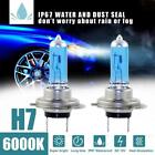 NEW H7 Xenon Headlight Bulbs Super White 8500k Lamp Hid Effect Light Lights L9O2