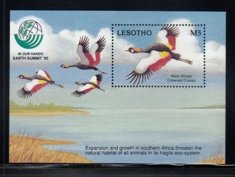 LESOTHO Earth Summit MNH souvenir sheet Cover