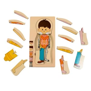 My Body Puzzle for Toddlers Kids Boys Montessori Wooden Anatomy Puzzle Play S... - Picture 1 of 6