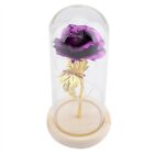 Preserved Rose Flower LED Light With Cover With Wooden Base Valentines