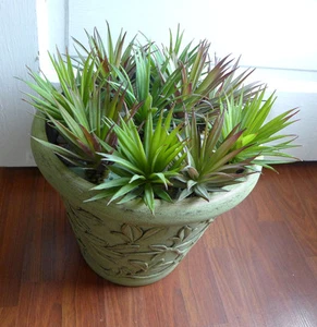 Agave Gladiolen Kakteen Mini Gräser künstliche Kunstpflanzen Sukkulenten - Bild 1 von 7