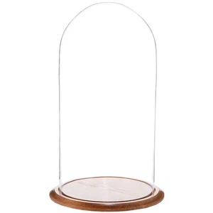 Plymor 11.75" x 23" Glass Display Dome Cloche (Oak Wood Base) - Picture 1 of 1