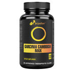 Garcinia Cambogia Pure Clean Detox Max Capsules Weight Loss Diet Supplement