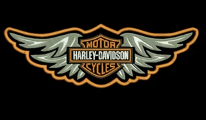 Harley Davidson Wings Back Patch zum Aufnähen 13 Zoll - Bild 1 von 1