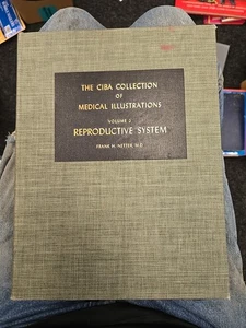 CIBA Sammlung medizinischer Illustrationen Fortpflanzungssystem Band 2 Netter 1954 - Bild 1 von 4