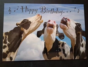 Funny Birthday Card - Picture 1 of 4
