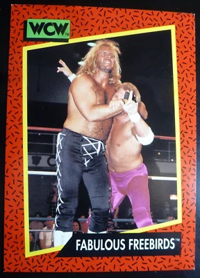 1991 Impel WCW Fabulous Freebirds Michael P.S. Hayes #123, WWE, WWF, WCW, AEW NM - Image 1 of 2