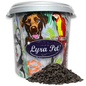 10 kg Sonnenblumenkerne schwarz Wildvögel Vogelfutter Lyra Pet® in 30 L Tonne - Bild 1 von 8