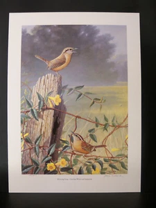 Signed Numbered Print "Morning Song Wren & Jessamine" By Steve Dillard 64/850 - Picture 1 of 9