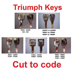 TRIUMPH Keys cut to code,lockers, cabinets, desks, tambours, pedestal - Picture 1 of 1