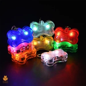 LED Cat Hunting Dog Pet Tag Pendant Leash Flashing Warning Safety Night Light - Picture 1 of 20