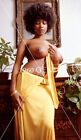 1960S Photo Print Big Breasts Ebony Veronica Dieman Model Artistic Vd3