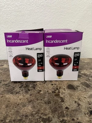 Feit Electric Heat Lamp Red Light Bulb 250W 120V DIMMABLE 250R40/R/HDRP - Image 1 of 3
